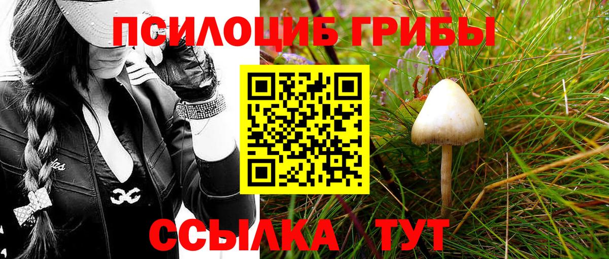 Галлюциногенные грибы MAGIC MUSHROOMS  Вход с VPN  Тайшет 